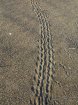 IMG_4676_ed_k_.jpg