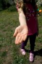 IMG_4952_k.jpg